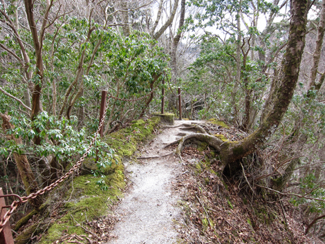 20200110hike (287)